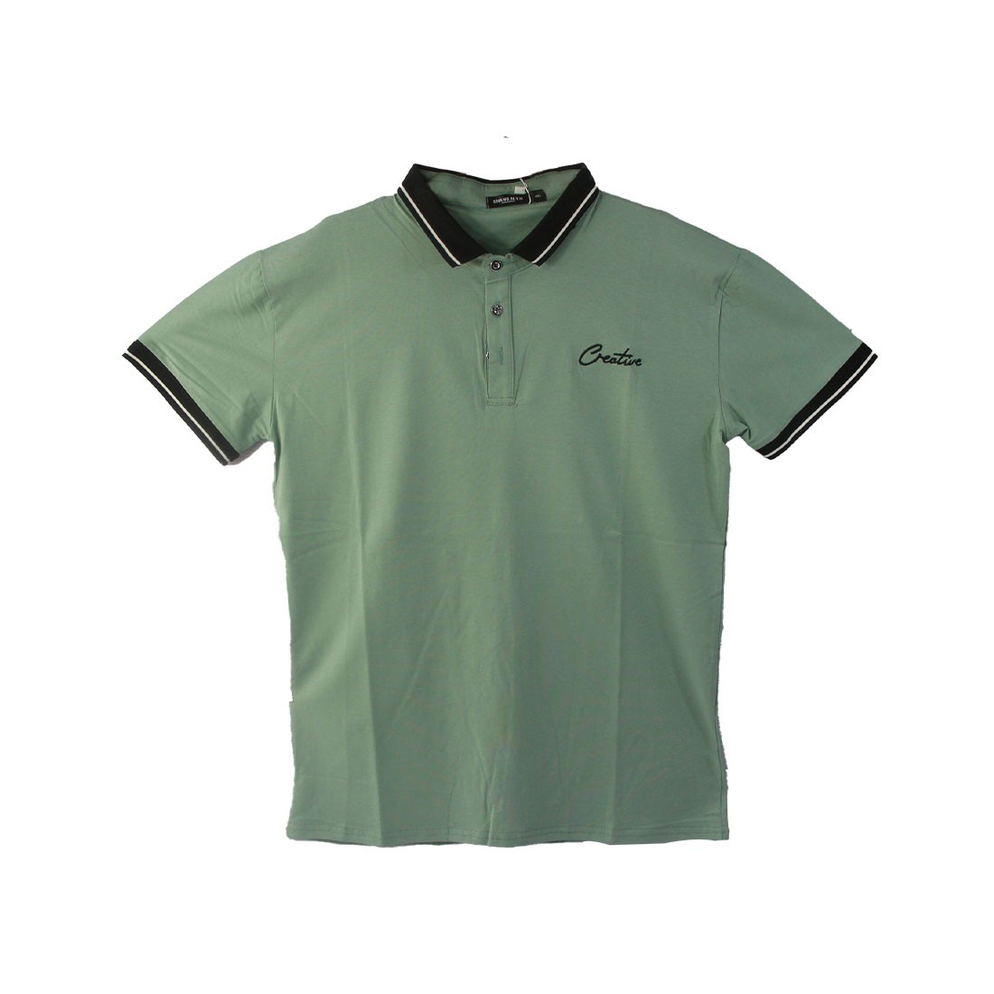 Polo Shirt (010)
