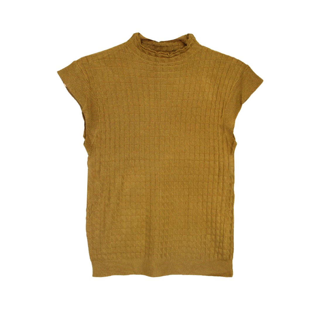 Lady Sweater Top Wear (2107)